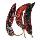 Dried Chili de Guajillo 100g thumbnail