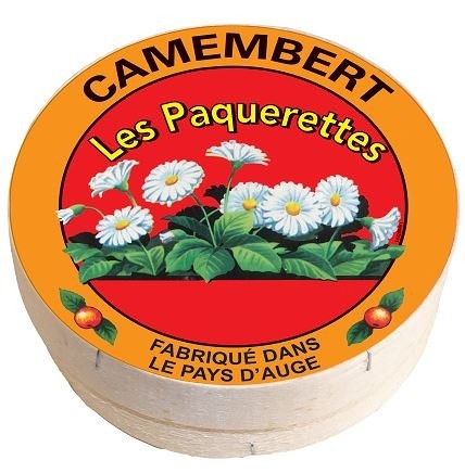 Camembert AOP au Lait Cru 250g, Mons